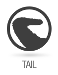icons_sized_tail