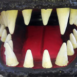 RobertPruitt_Godzilla_Head_17