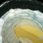 RobertPruitt_Godzilla_Tail_02