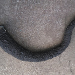 RobertPruitt_Godzilla_Tail_06