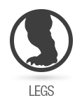 icons_sized_legs