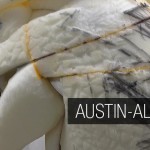 homepage_slider_austinBennett