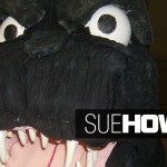 homepage_slider_sueHoward