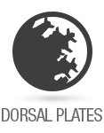 icons_sized_dorsalPlates-mecha