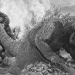 King Kong vs Godzilla Promotional