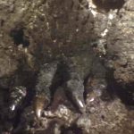 Ebriah, Horror of the Deep Behind