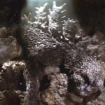 Ebriah, Horror of the Deep Behind