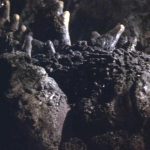 Ebriah, Horror of the Deep Behind