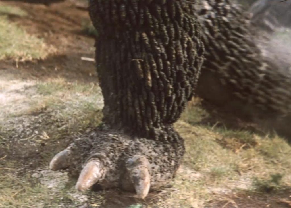 Ebriah, Horror of the Deep Behind