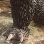 Ebriah, Horror of the Deep Behind