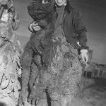 Godzilla vs Hedorah Behind the Scenes