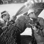 Mothra vs Godzilla Behind the Scenes