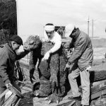 Mothra vs Godzilla Behind the Scenes