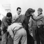 Godzilla Raids Again Behind the Scenes