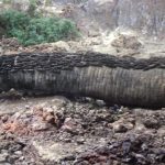 Son of Godzilla Musuko Suit