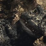 Son of Godzilla Musuko Suit