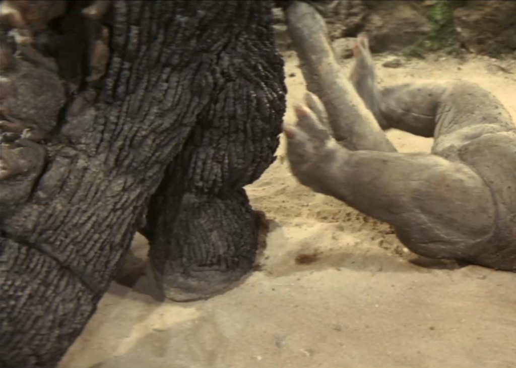 Son of Godzilla Musuko Suit