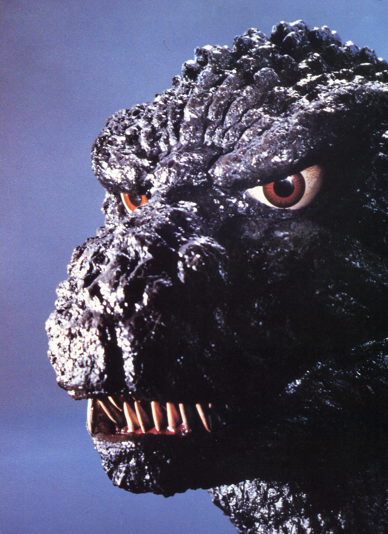 84Goji (1984) – Becoming Godzilla