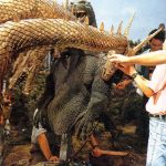 King-Ghidorah_1991_Behind_the_Scenes_10