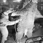 Mothra_1964_Behind_the_Scenes_41