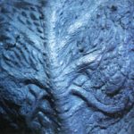 Godzilla_Graphic-Collection_2003_06