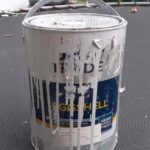 Eggshell for Dorsal Plates