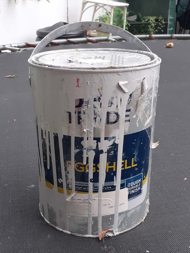 Eggshell for Dorsal Plates