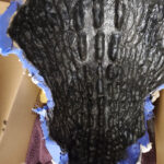 tristandomay_2022_thehead_12