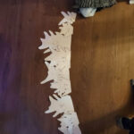 tristandomay_dorsalfins_01