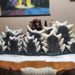 tristandomay_dorsalfins_07