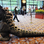 tristandomay_finalassembly_18