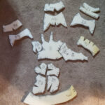 tristandomay_handsandfeet_10