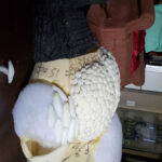 tristandomay_skinandpaint_04