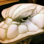 KennethHall-TotalFabrication-godzilla-0000-Head-Pins