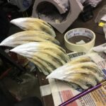 Dark Dirty Brown Wash