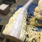 KrysBaioa_FusionGodzilla_Tail_020