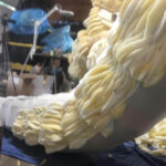 KrysBaioa_FusionGodzilla_Tail_021