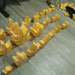 Napat_Godzilla2004_Dorsals_03