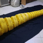 Napat_Godzilla2004_Tail_05