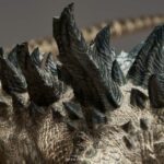 Spiral-Legacy-Tanka-Kenichi_Zilla_14