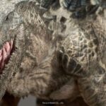 Spiral-Legacy-Tanka-Kenichi_Zilla_17