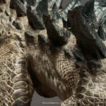 Spiral-Legacy-Tanka-Kenichi_Zilla_20