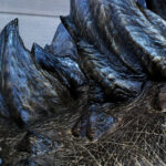 ToraGoji_1998_BTS_Finished-Suit_03