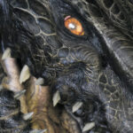 ToraGoji_1998_BTS_Finished-Suit_04