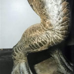 ToraGoji_1998_BTS_Finished-Suit_05