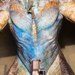 ToraGoji_1998_BTS_Finished-Suit_06