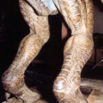 ToraGoji_1998_BTS_Finished-Suit_07