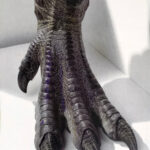 ToraGoji_1998_BTS_Finished-Suit_08