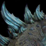 Unique-aspects_Dorsals