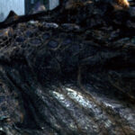 godzilla-1998-screencaps_40